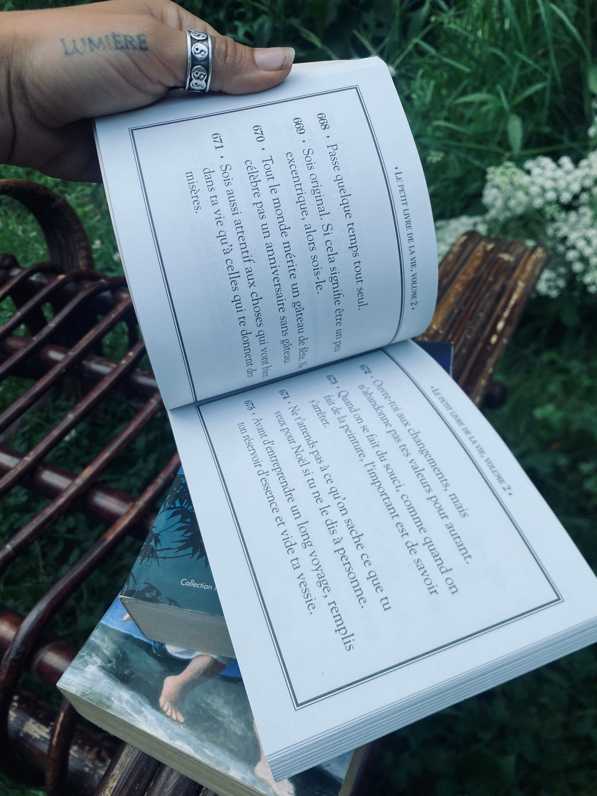 Le petit livre de la vie Volume 2