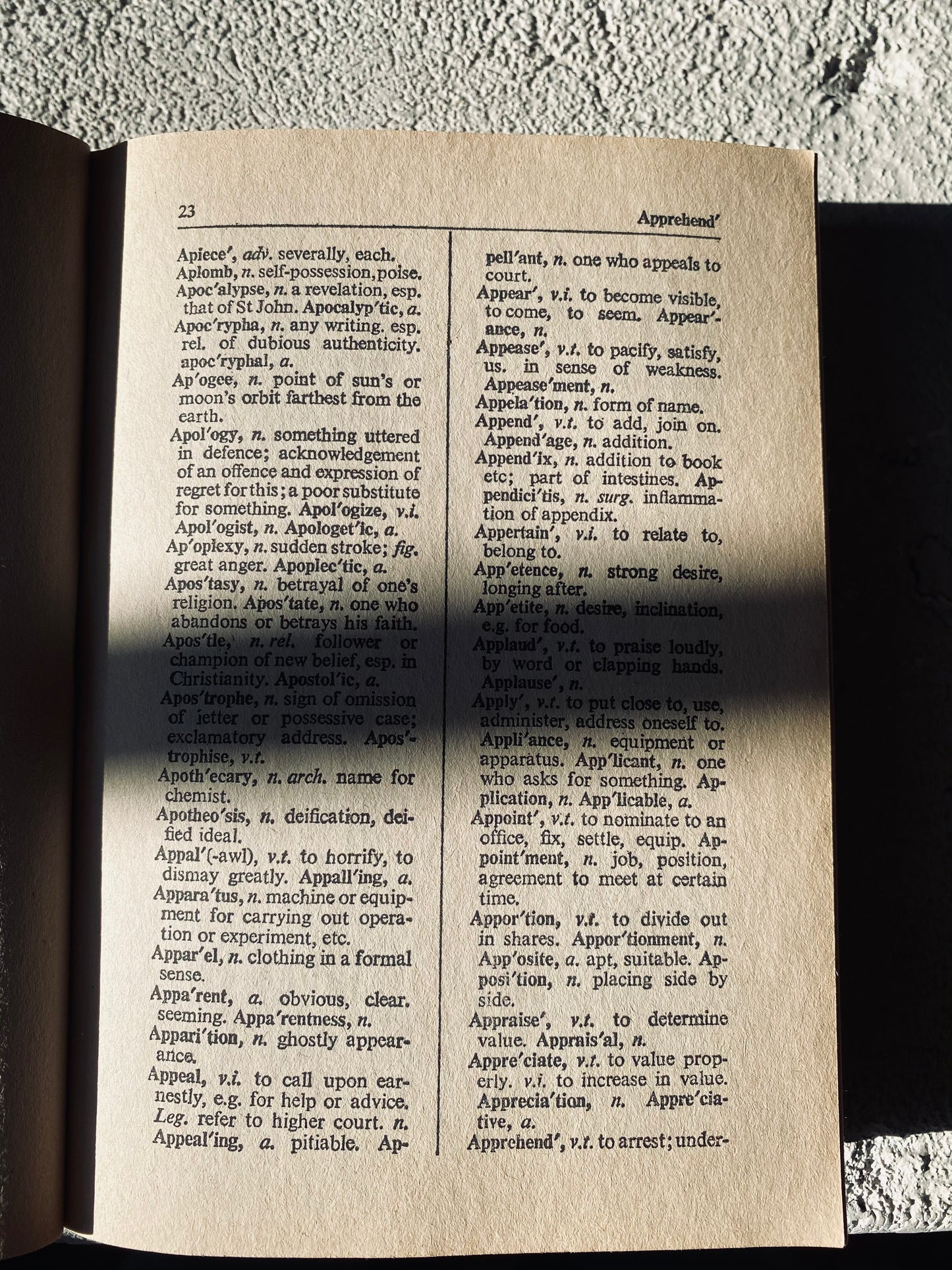 English dictionary vintage