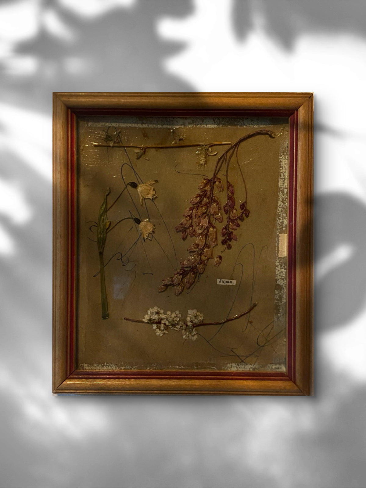 Fleurs japonaises 1/3