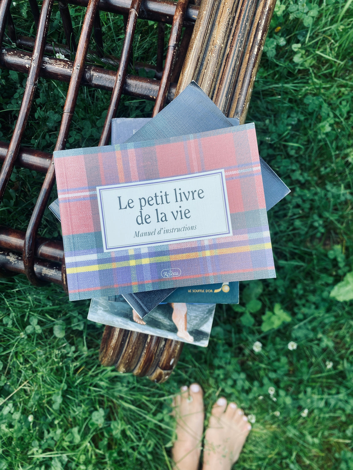 Le petit livre de la vie Volume 1