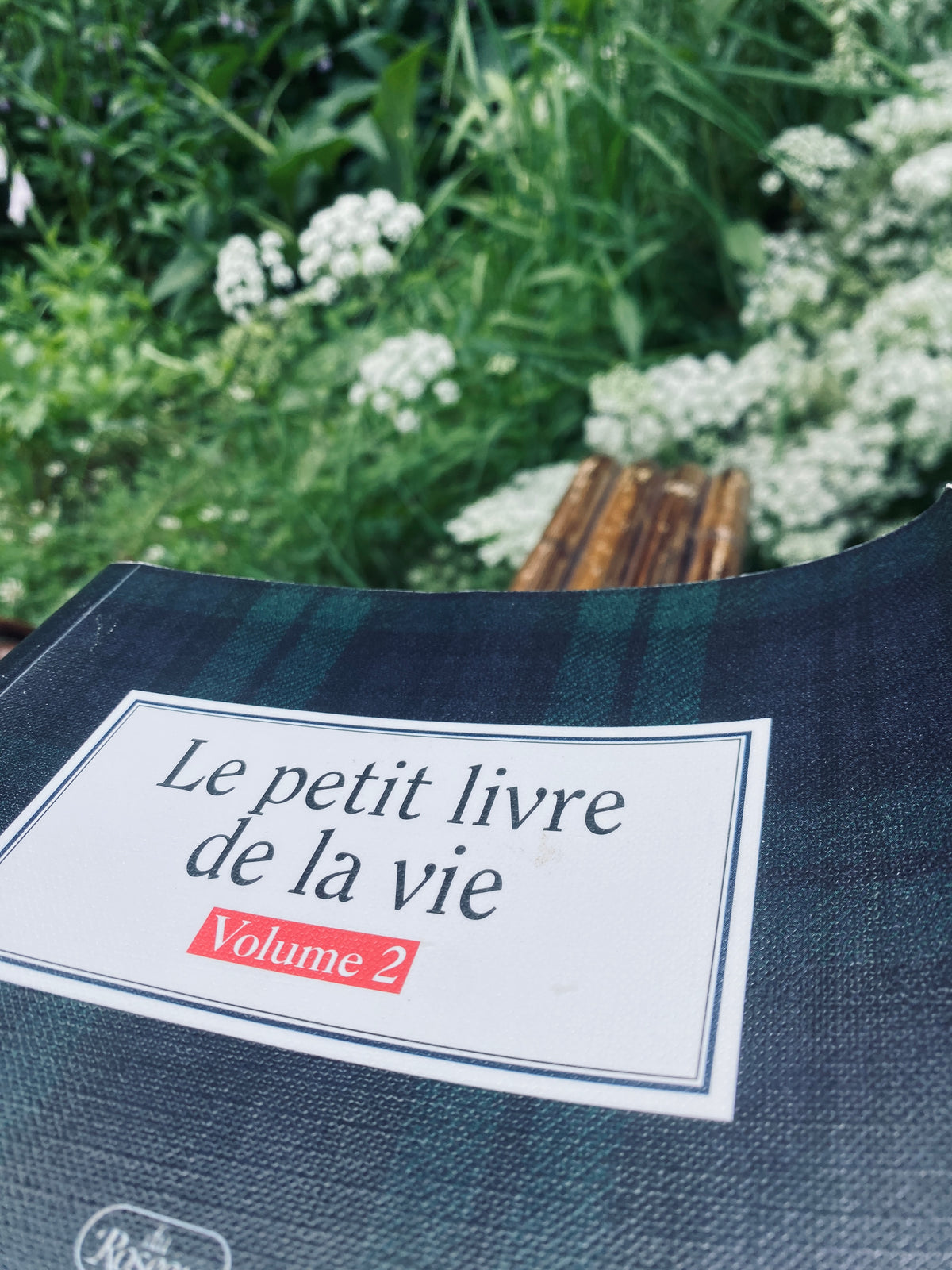 Le petit livre de la vie Volume 2