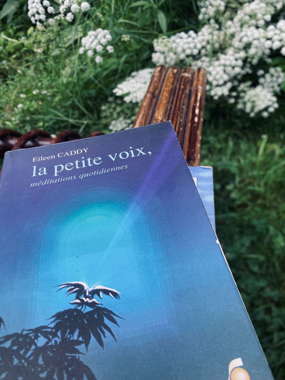 La petite voix