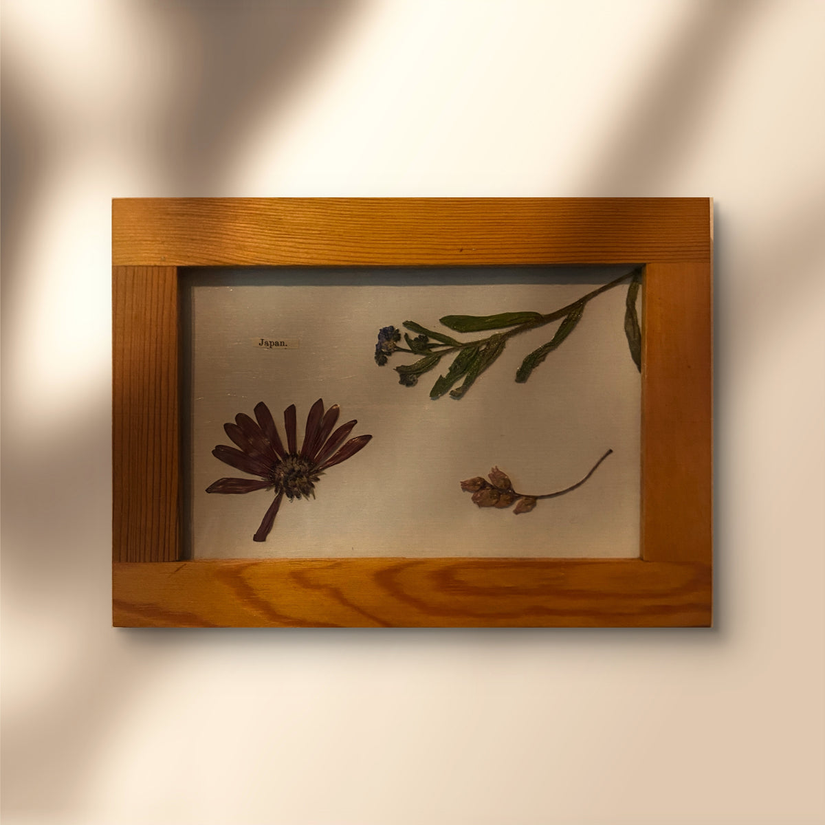 Fleurs japonaises 2/3